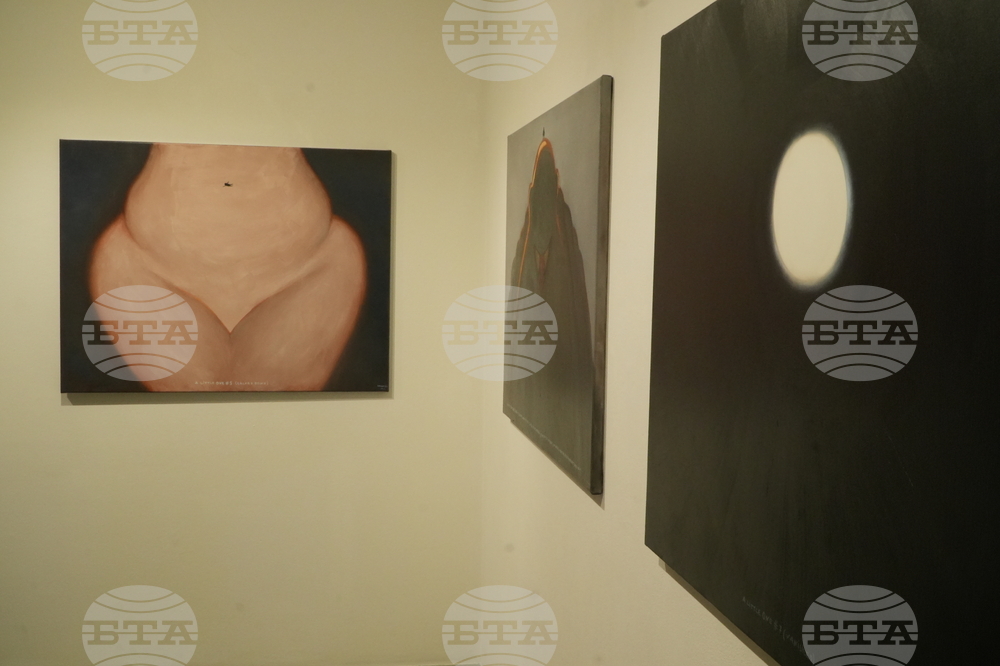 Институт за съвременно изкуство - Недко Солаков - “Дребните” - изложба