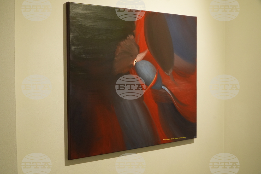 Институт за съвременно изкуство - Недко Солаков - “Дребните” - изложба