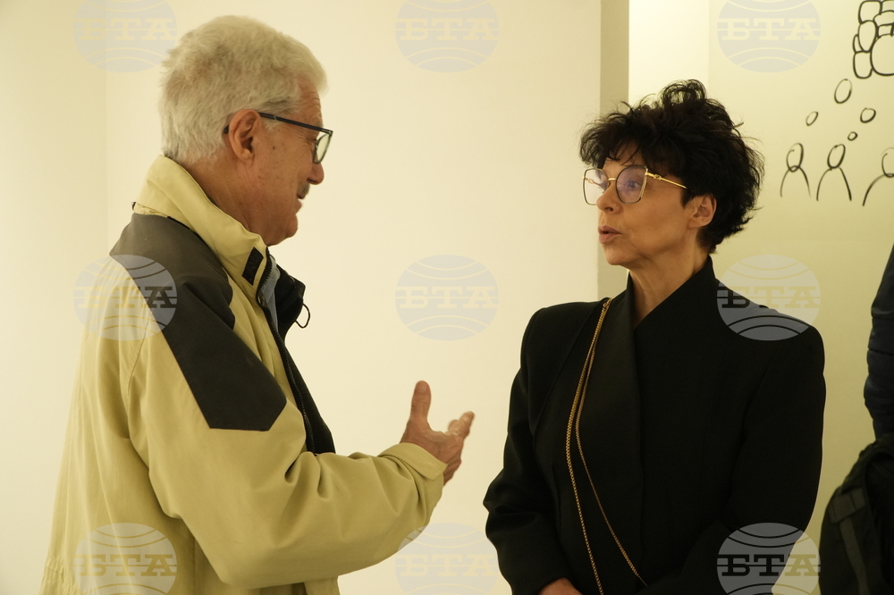 Институт за съвременно изкуство - Недко Солаков - “Дребните” - изложба