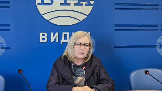 Българското общество подценява ролята на изобразителното изкуство в образованието, каза във Видин преподавателят Антонина Славова