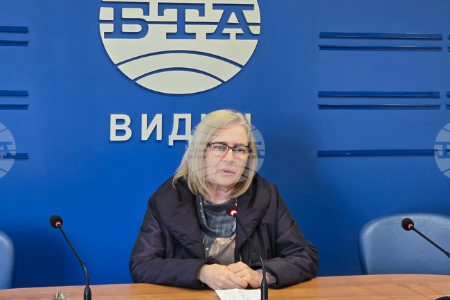 Българското общество подценява ролята на изобразителното изкуство в образованието, каза във Видин преподавателят Антонина Славова