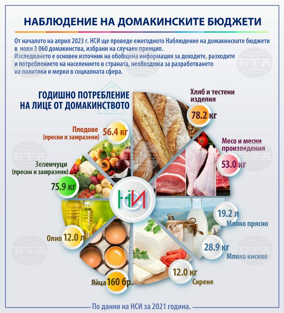 От началото на април НСИ започва Наблюдението на домакинските бюджети