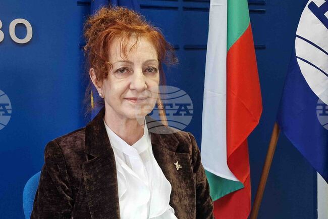 Талантът трябва да се насочва, а академиците знаят как да го развиват, каза директорът на Художествената галерия в Хасково Татяна Форева 