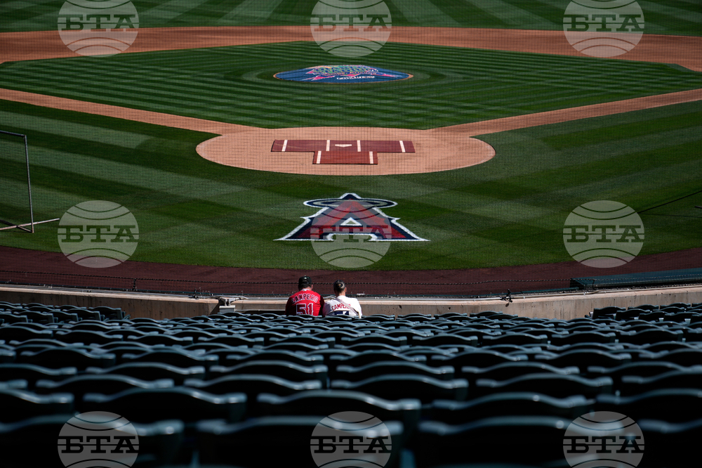 Cubs Angles Spring Baseball
