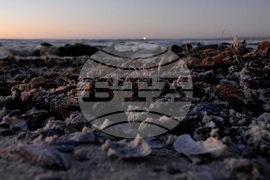 South Africa-Red Tide