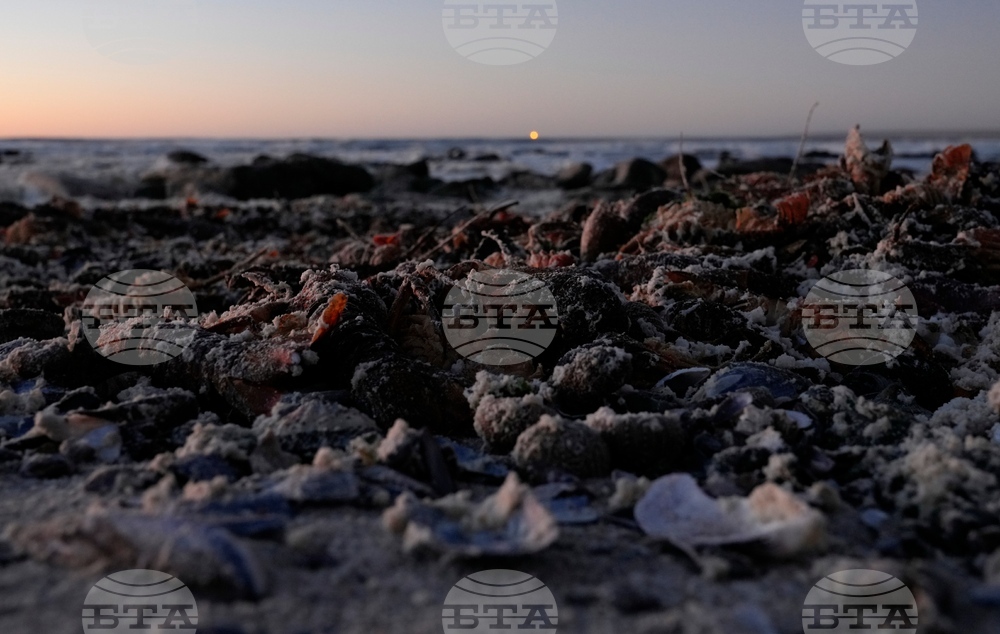 South Africa-Red Tide