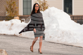 Epstein Congress Clintons