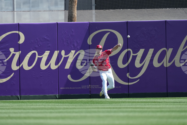 Cubs Angels Spring Baseball