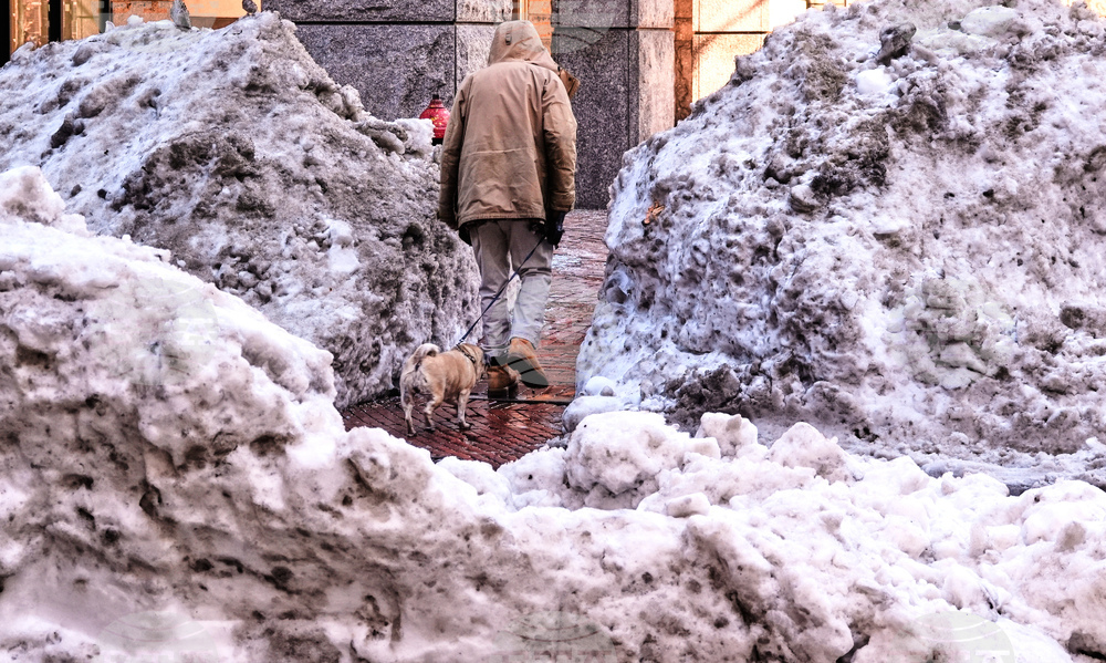 Winter Weather Boston