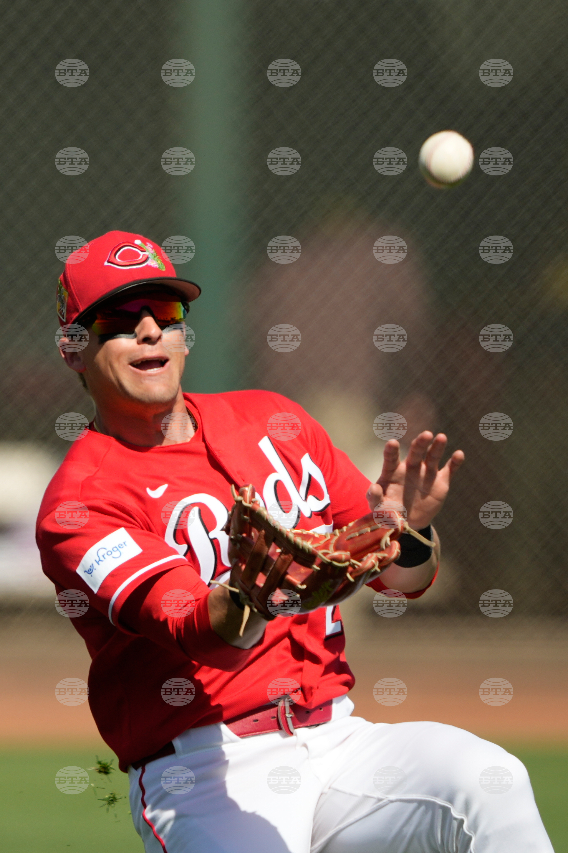 Padres Reds Spring Baseball