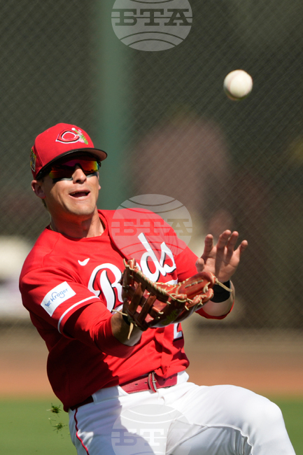 Padres Reds Spring Baseball