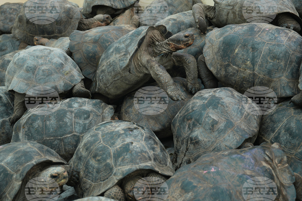 Pictures of the Week Global Photo Gallery