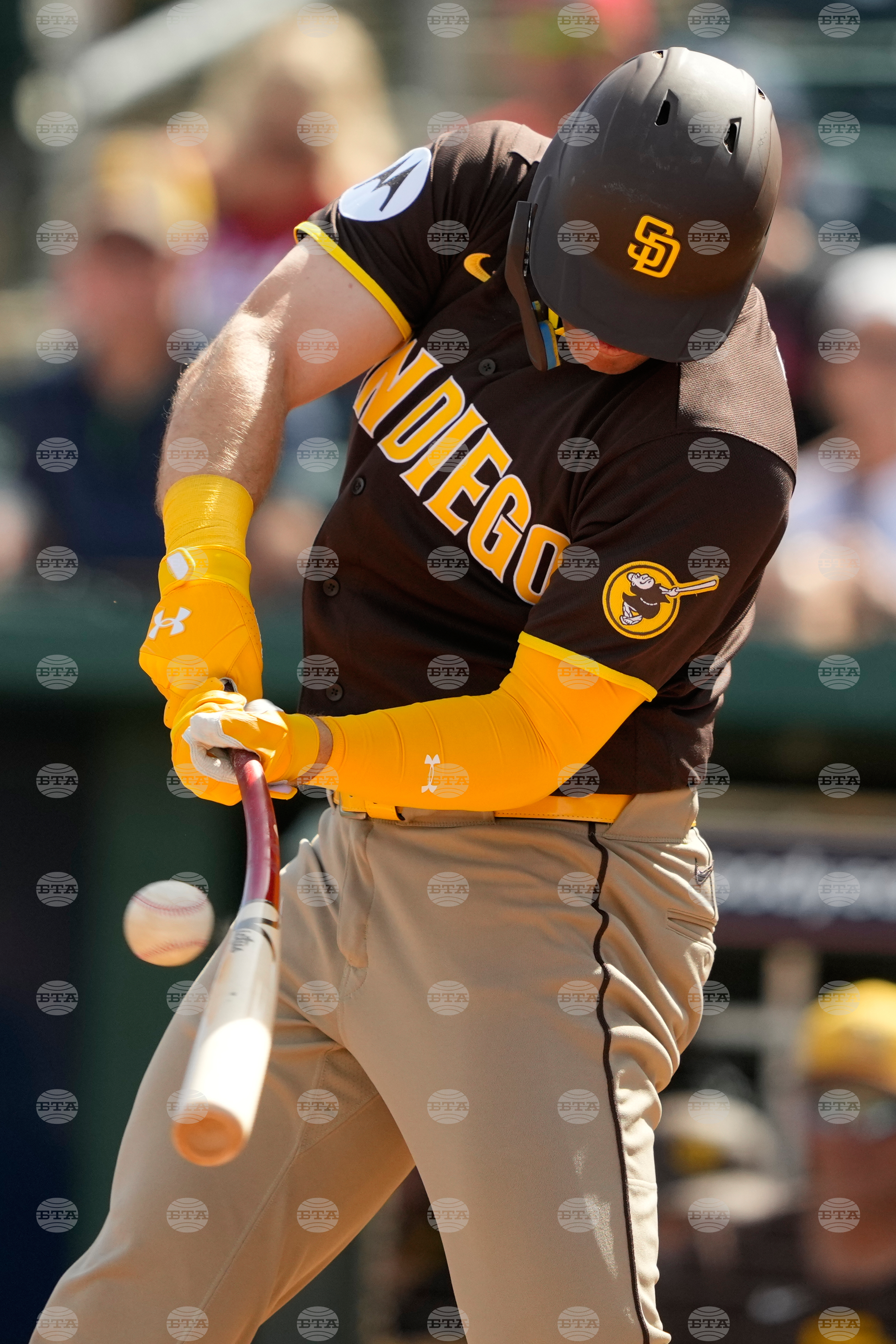 Padres Reds Spring Baseball