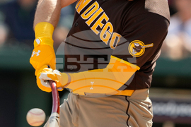 Padres Reds Spring Baseball