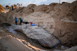 Pictures of the Week Global Photo Gallery