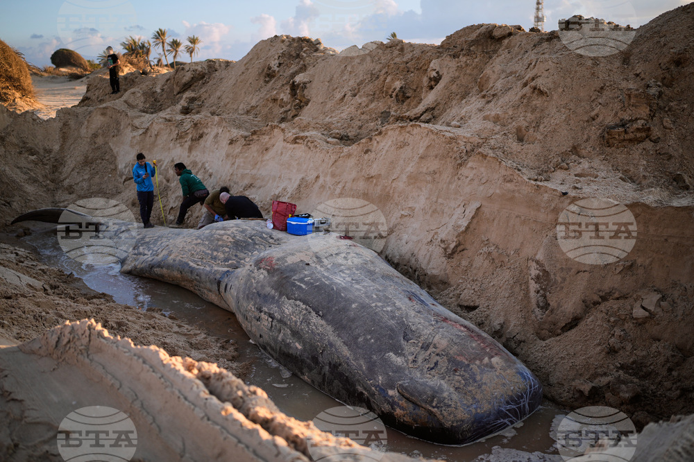 Pictures of the Week Global Photo Gallery