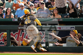 Padres Reds Spring Baseball