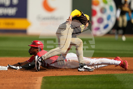 Padres Reds Spring Baseball