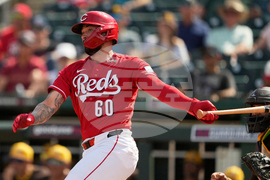 Padres Reds Spring Baseball