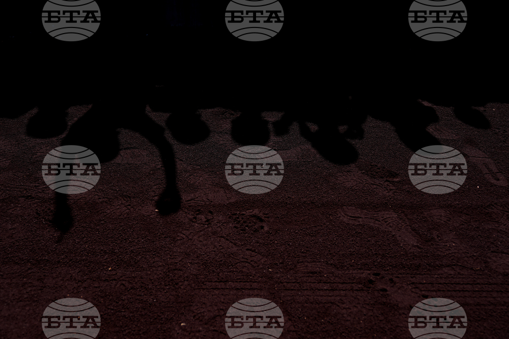 Cubs Angels Spring Baseball