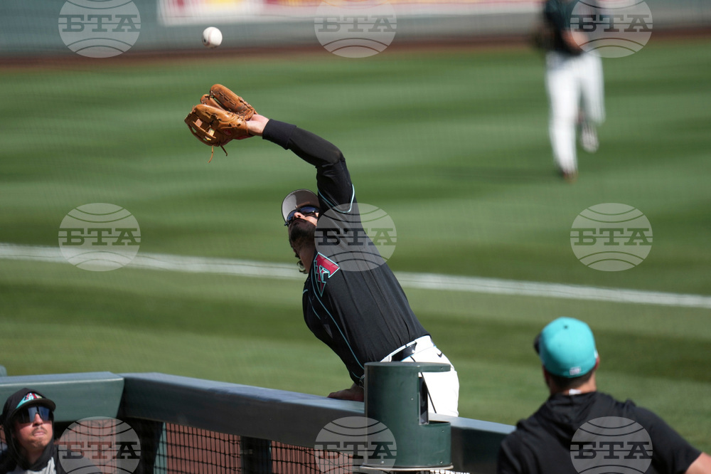 Royals Diamondbacks Spring Baseball