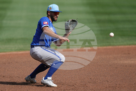 Royals Diamondbacks Spring Baseball