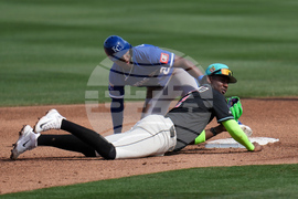 Royals Diamondbacks Spring Baseball