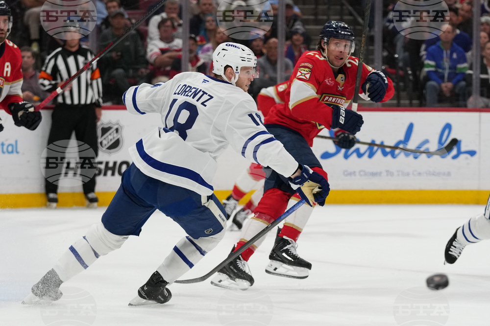 Maple Leafs Panthers Hockey