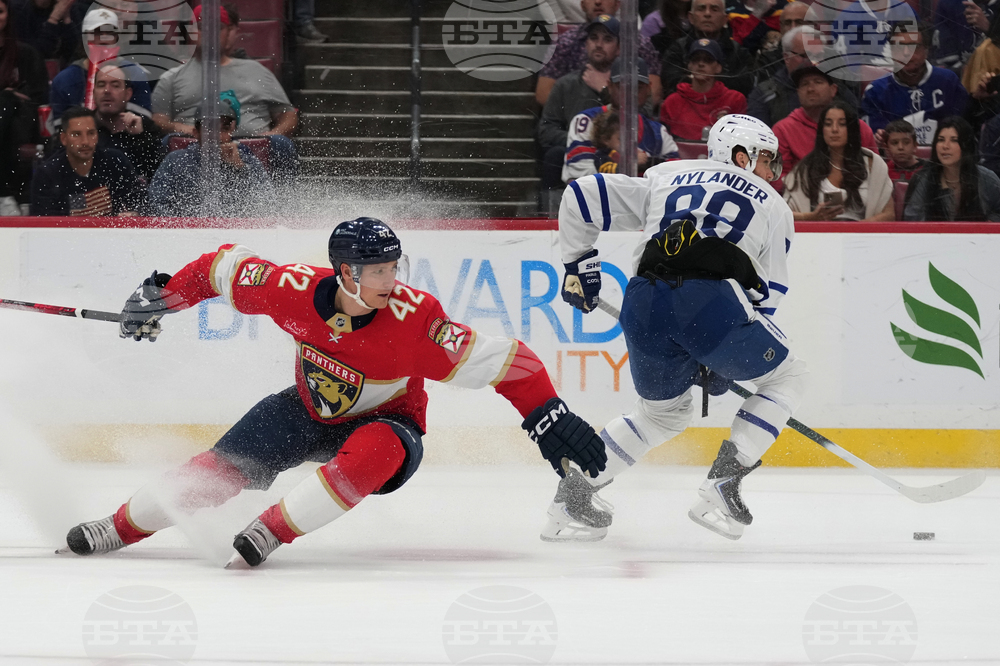 Maple Leafs Panthers Hockey