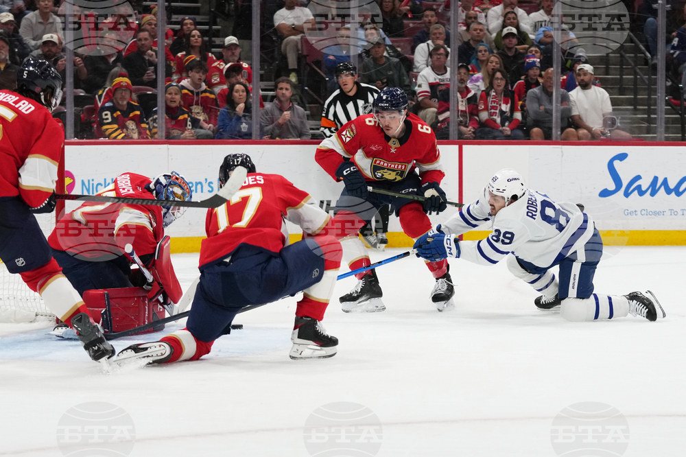 Maple Leafs Panthers Hockey