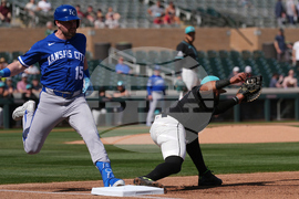 Royals Diamondbacks Spring Baseball