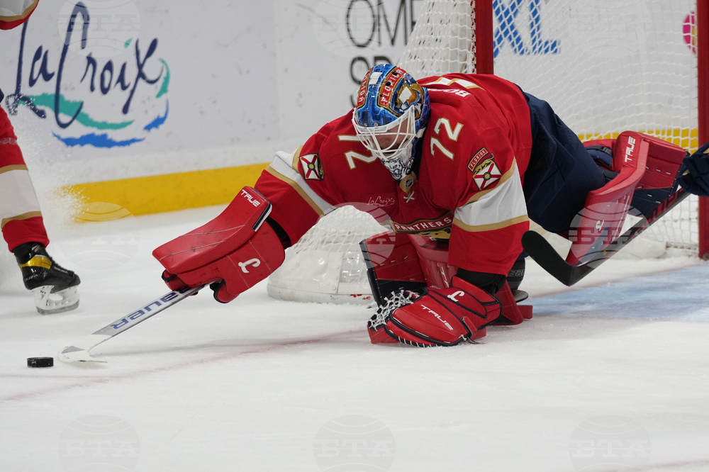 Maple Leafs Panthers Hockey