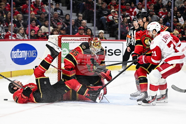 Red Wings Senators Hockey