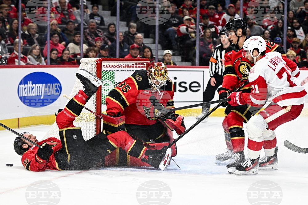 Red Wings Senators Hockey