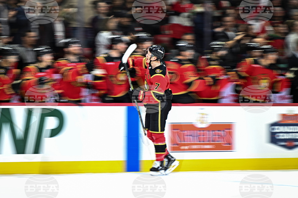 Red Wings Senators Hockey