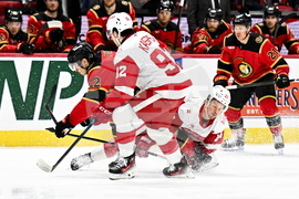 Red Wings Senators Hockey