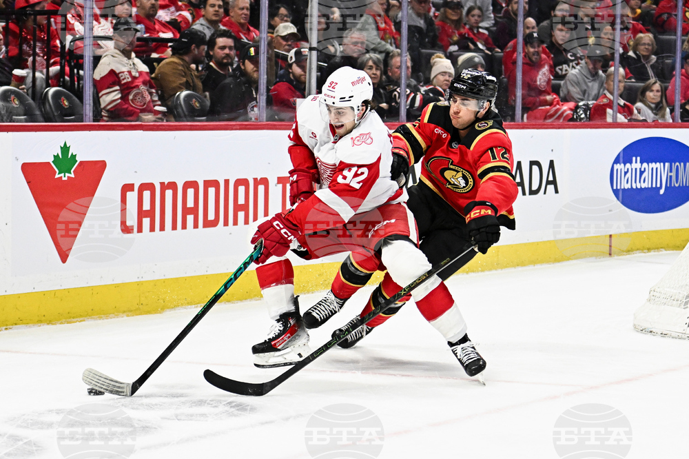Red Wings Senators Hockey