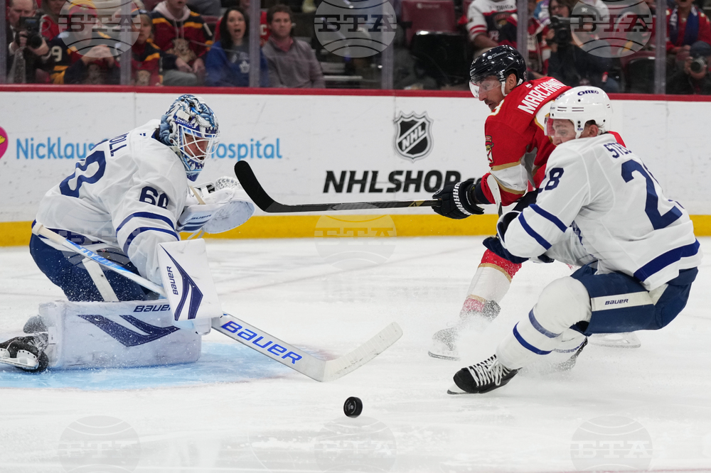 Maple Leafs Panthers Hockey