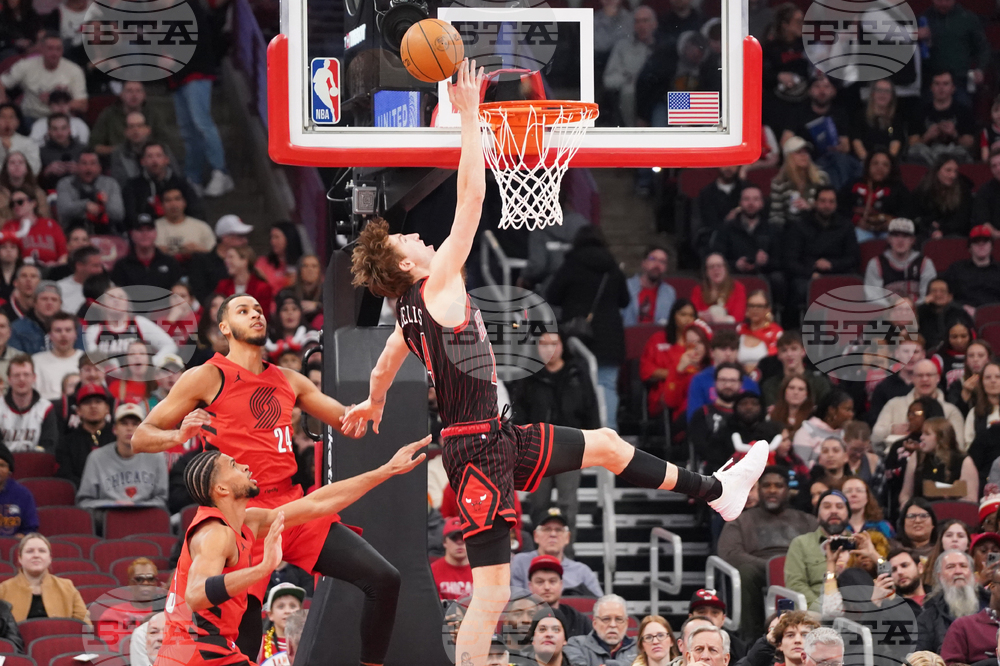 Trail Blazers Bulls Basketball