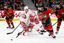 Red Wings Senators Hockey