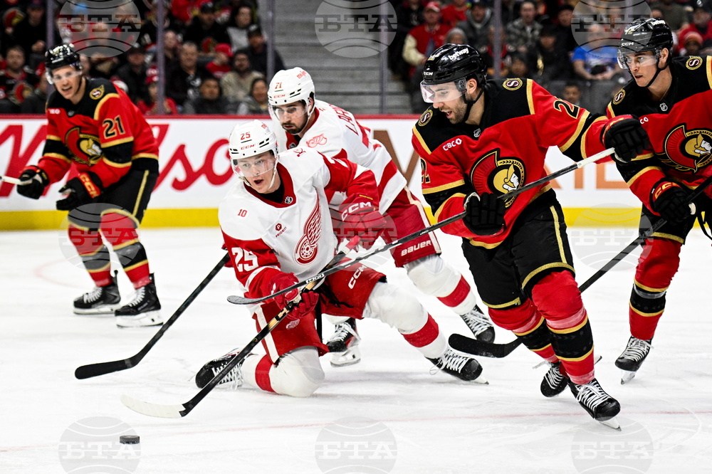 Red Wings Senators Hockey