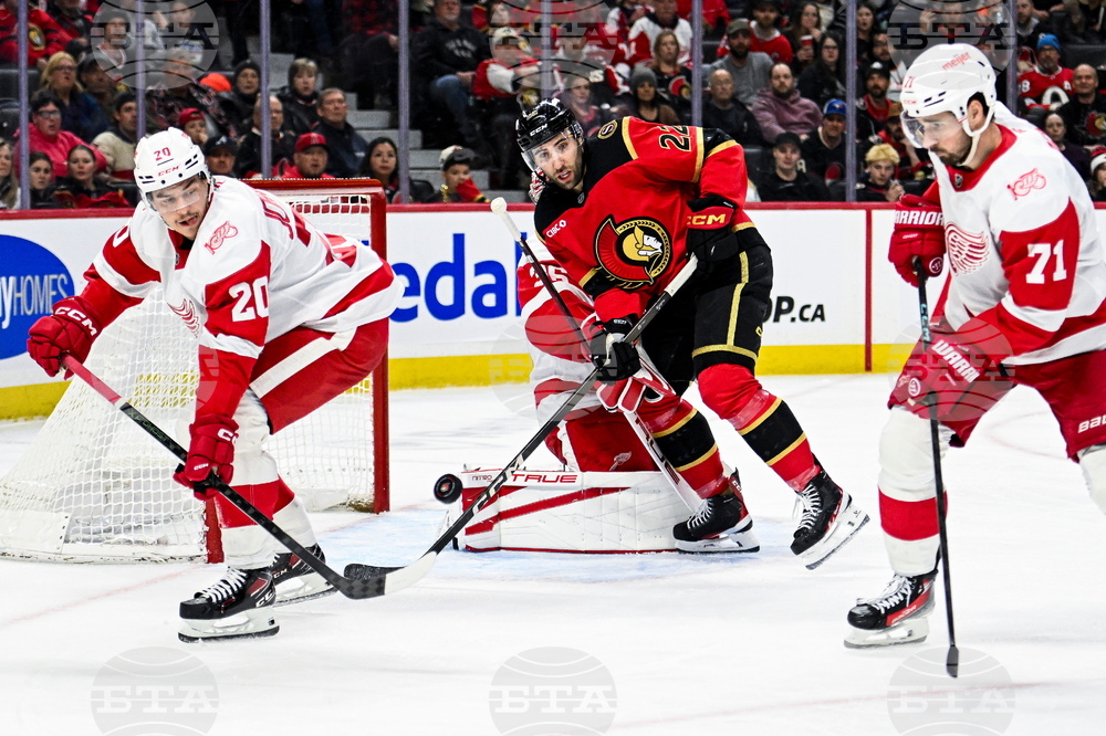 Red Wings Senators Hockey