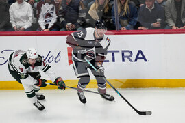 Wild Avalanche Hockey