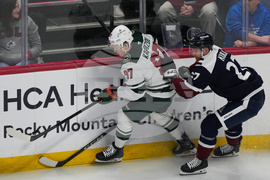 Wild Avalanche Hockey