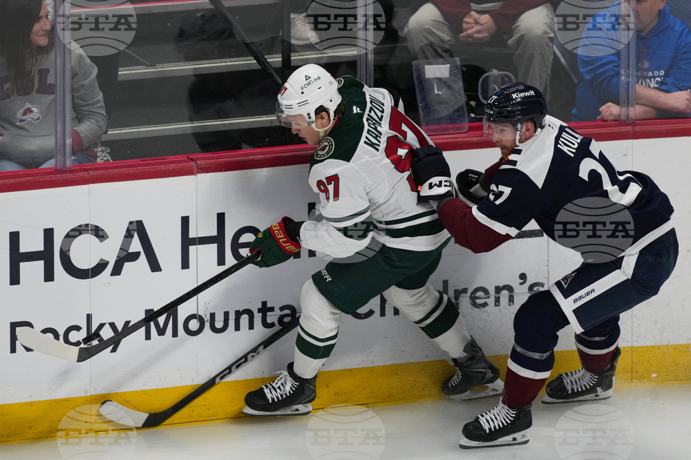 Wild Avalanche Hockey