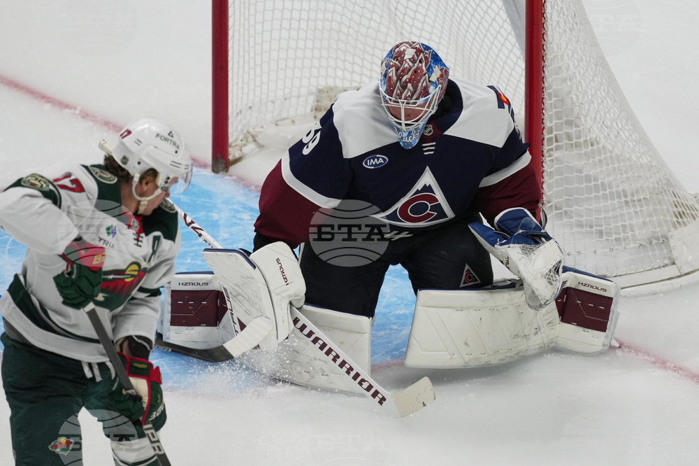 Wild Avalanche Hockey