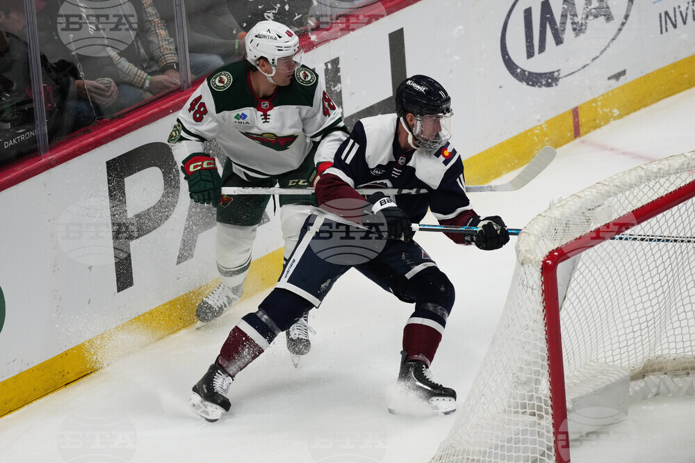 Wild Avalanche Hockey