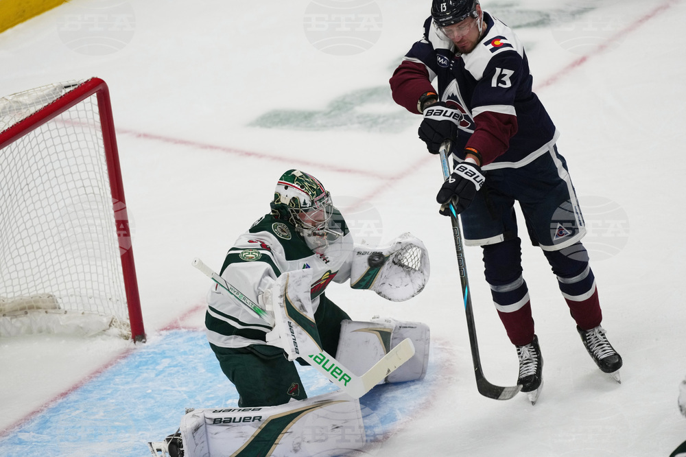 Wild Avalanche Hockey