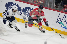 Maple Leafs Panthers Hockey