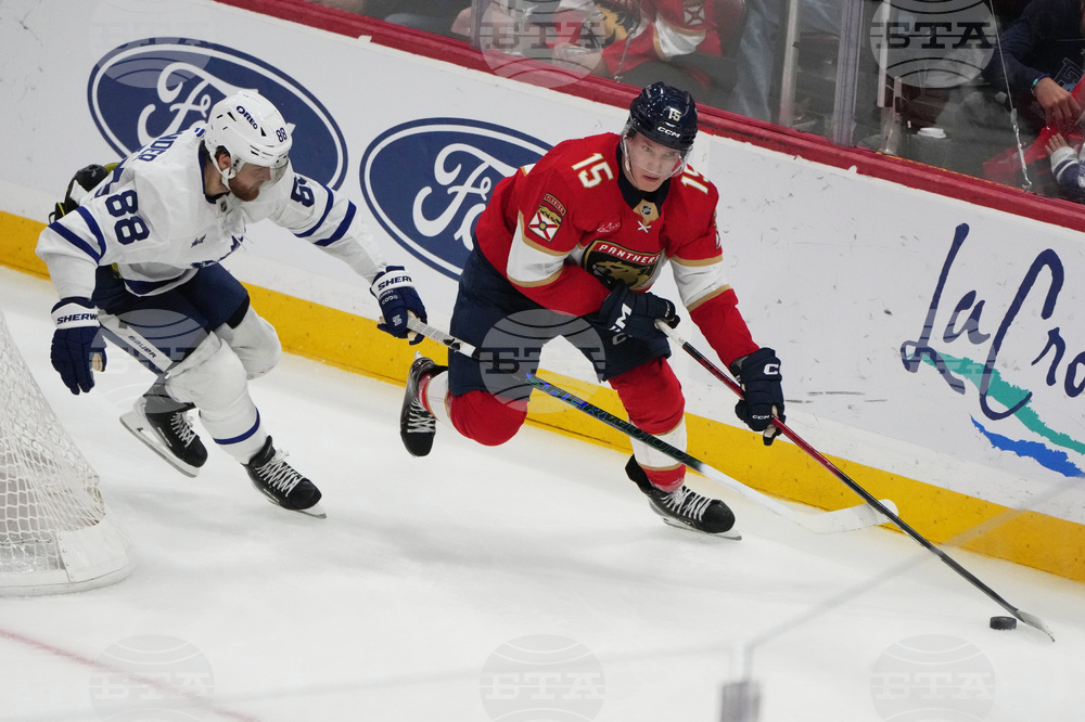 Maple Leafs Panthers Hockey